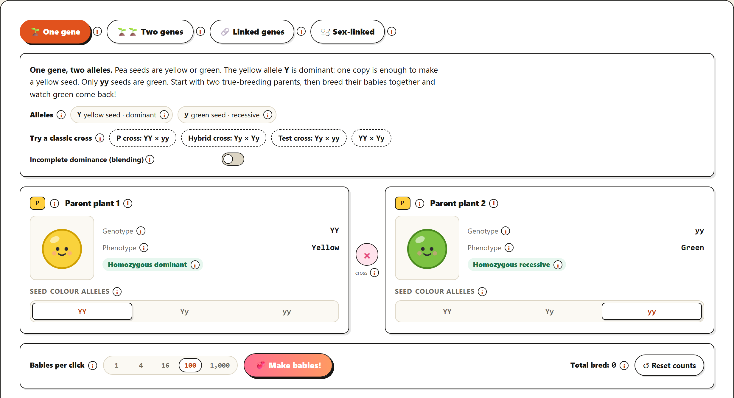 Punnett Playground: Squares & Inheritance preview